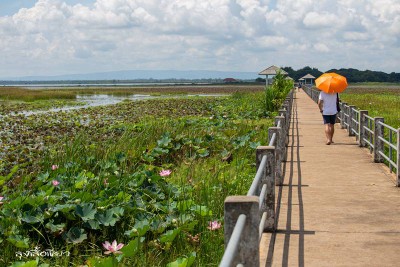 12 ที่เที่ยวสกลนคร ออนซอนหลาย