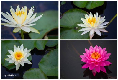 12 ที่เที่ยวสกลนคร ออนซอนหลาย