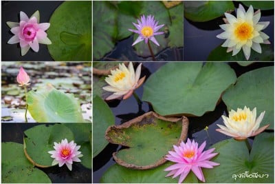 12 ที่เที่ยวสกลนคร ออนซอนหลาย