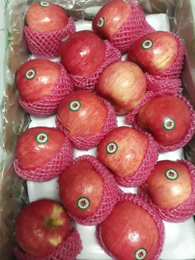 แอ๊บเปิ้ลฟูจิพรีเมี่ยมกรอบ