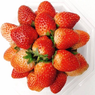 สตอเบอรี่