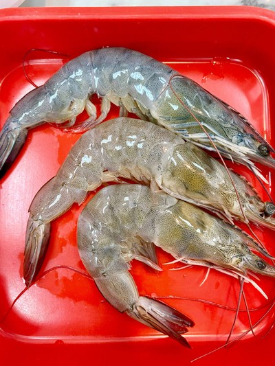 กุ้ง