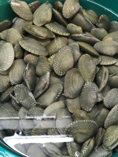 วิธีทำ สปาเกตตี้ผัดหอยลาย สูตรนมสด น้ำพริกเผา by ครูหนวดตัวร้ายกับยัยตัวยุ่ง วิธีทำ สปาเกตตี้ผัดหอยลาย สูตรนมสด น้ำพริกเผา by ครูหนวดตัวร้ายกับยัยตัวยุ่ง