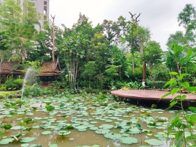 สวนทิพย์