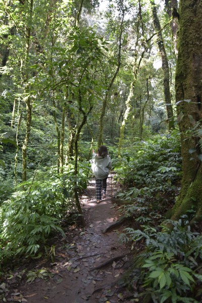 เที่ยวเชียงใหม่ไปไงให้ฟิน