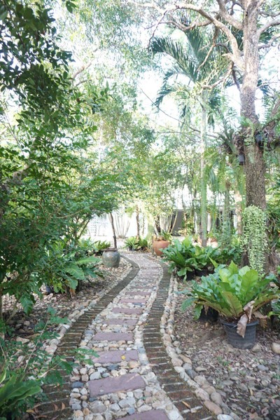 บริเวณโดยรอบ