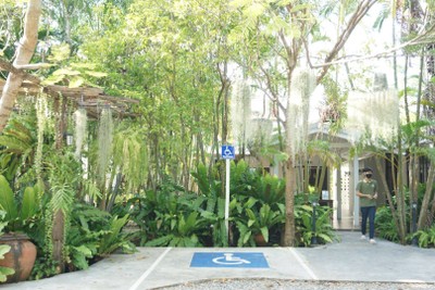 บริเวณโดยรอบ