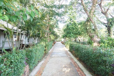 บริเวณโดยรอบ