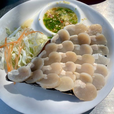 เอ็นหอยวาซาบิ