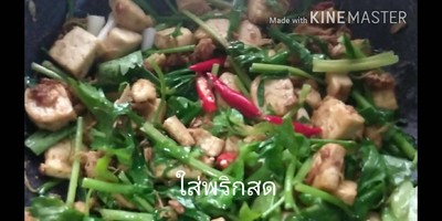 วิธีทำ เต้าหู้ผัดเต้าเจี้ยว l Vegan วิธีทำ เต้าหู้ผัดเต้าเจี้ยว l Vegan