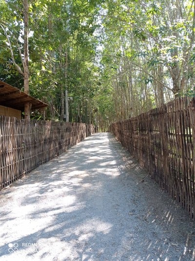 ไร่เชิญตะวัน