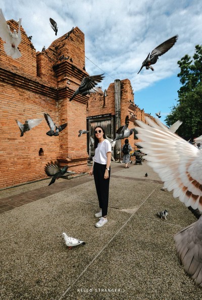 12 Locations 2 Days 1 Night in "CHIANG MAI" จ.เชียงใหม่