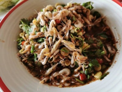 กุ้งนอน