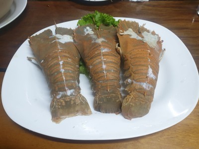 กั้งกระดานนึ่ง
