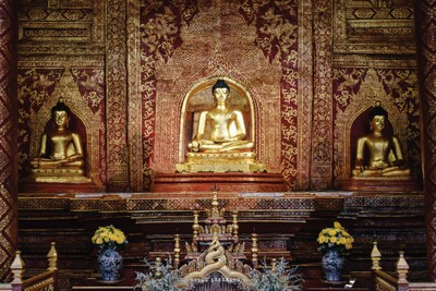 12 Locations 2 Days 1 Night in "CHIANG MAI" จ.เชียงใหม่