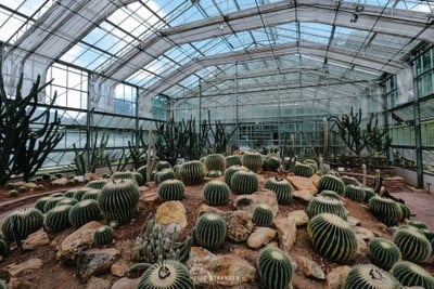 12 Locations 2 Days 1 Night in "CHIANG MAI" จ.เชียงใหม่