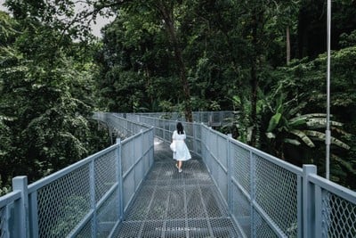 12 Locations 2 Days 1 Night in "CHIANG MAI" จ.เชียงใหม่