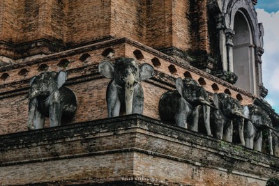 12 Locations 2 Days 1 Night in "CHIANG MAI" จ.เชียงใหม่