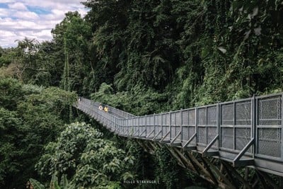 12 Locations 2 Days 1 Night in "CHIANG MAI" จ.เชียงใหม่