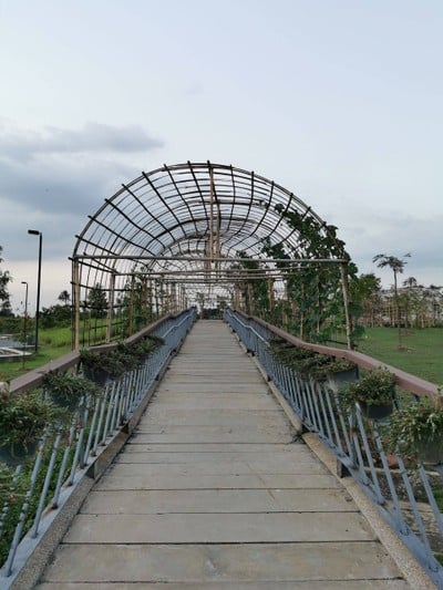 บรรยากาศ