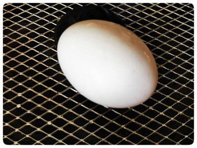 วิธีทำ ต้มไข่ยางมะตูมด้วยหม้อทอดไร้น้ำมัน  ..ทำไมชั้นเพิ่งรู้ ว้าวววๆมากๆ💕💖