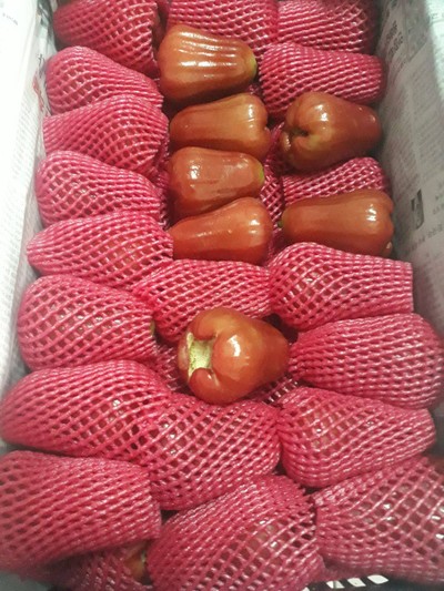 ชมพู่ หวานๆ