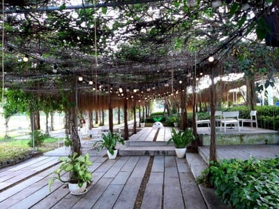บรรยากาศ Coro Field