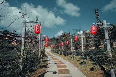 พาเที่ยวแม่ฮ่องสอน 3 วัน 2 คืน 

