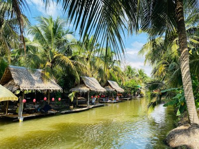 สวนลุงแดง มะพร้าวน้ำหอม