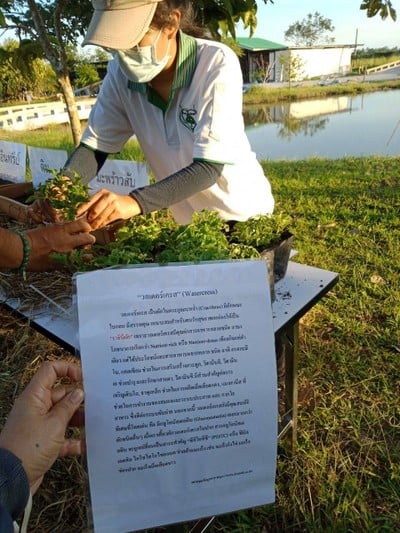 บรรยากาศ