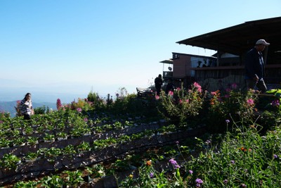 บรรยากาศ