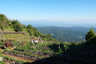 บรรยากาศ