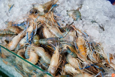 กุ้ง