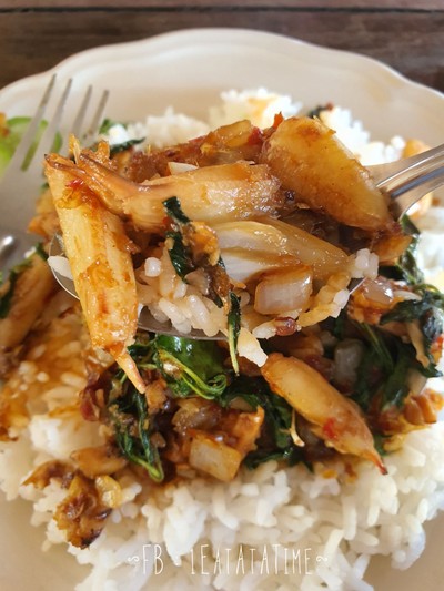 ข้าวกะเพราปู