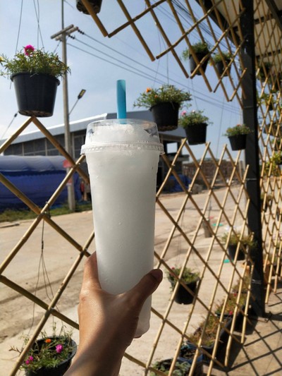 ลิ้นจี่ปั่น