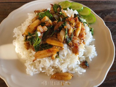 ข้าวกะเพราปู