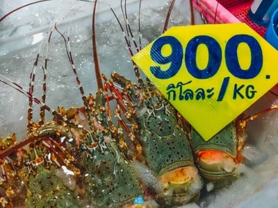  สมุย เที่ยวล่าสุด : SAMUI LATEST TRIP