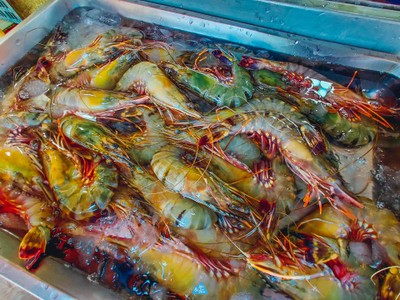  สมุย เที่ยวล่าสุด : SAMUI LATEST TRIP