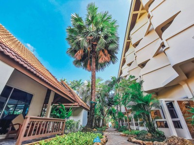  สมุย เที่ยวล่าสุด : SAMUI LATEST TRIP