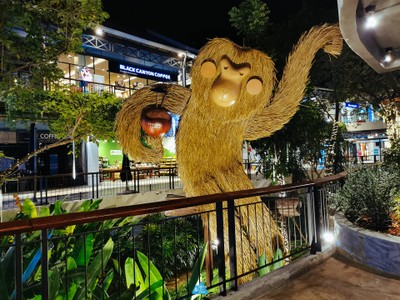  สมุย เที่ยวล่าสุด : SAMUI LATEST TRIP