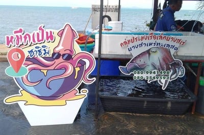 หมึกเป็น ซาชิมิ บางเสร่