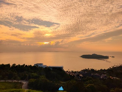  สมุย เที่ยวล่าสุด : SAMUI LATEST TRIP