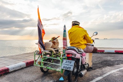  สมุย เที่ยวล่าสุด : SAMUI LATEST TRIP
