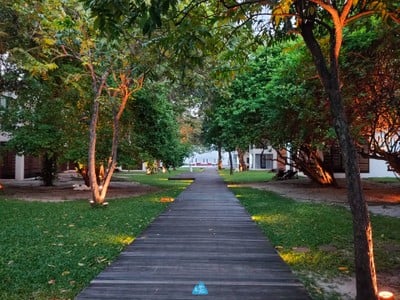  สมุย เที่ยวล่าสุด : SAMUI LATEST TRIP