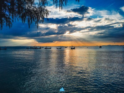  สมุย เที่ยวล่าสุด : SAMUI LATEST TRIP