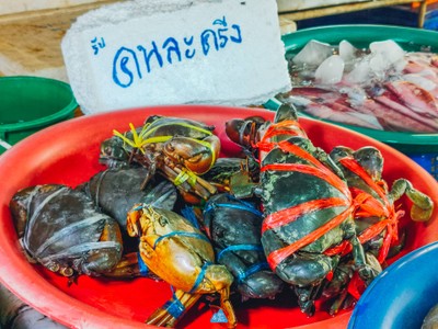  สมุย เที่ยวล่าสุด : SAMUI LATEST TRIP