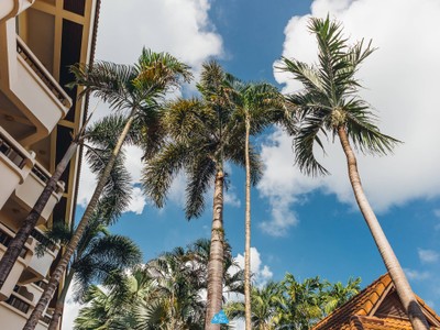  สมุย เที่ยวล่าสุด : SAMUI LATEST TRIP