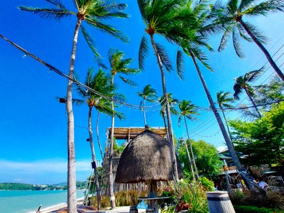  สมุย เที่ยวล่าสุด : SAMUI LATEST TRIP