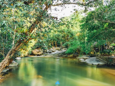  สมุย เที่ยวล่าสุด : SAMUI LATEST TRIP
