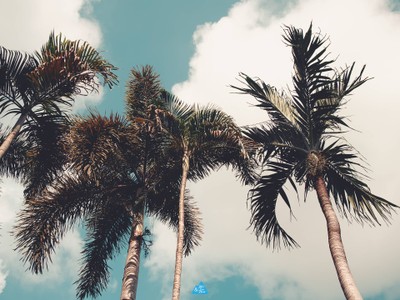 สมุย เที่ยวล่าสุด : SAMUI LATEST TRIP